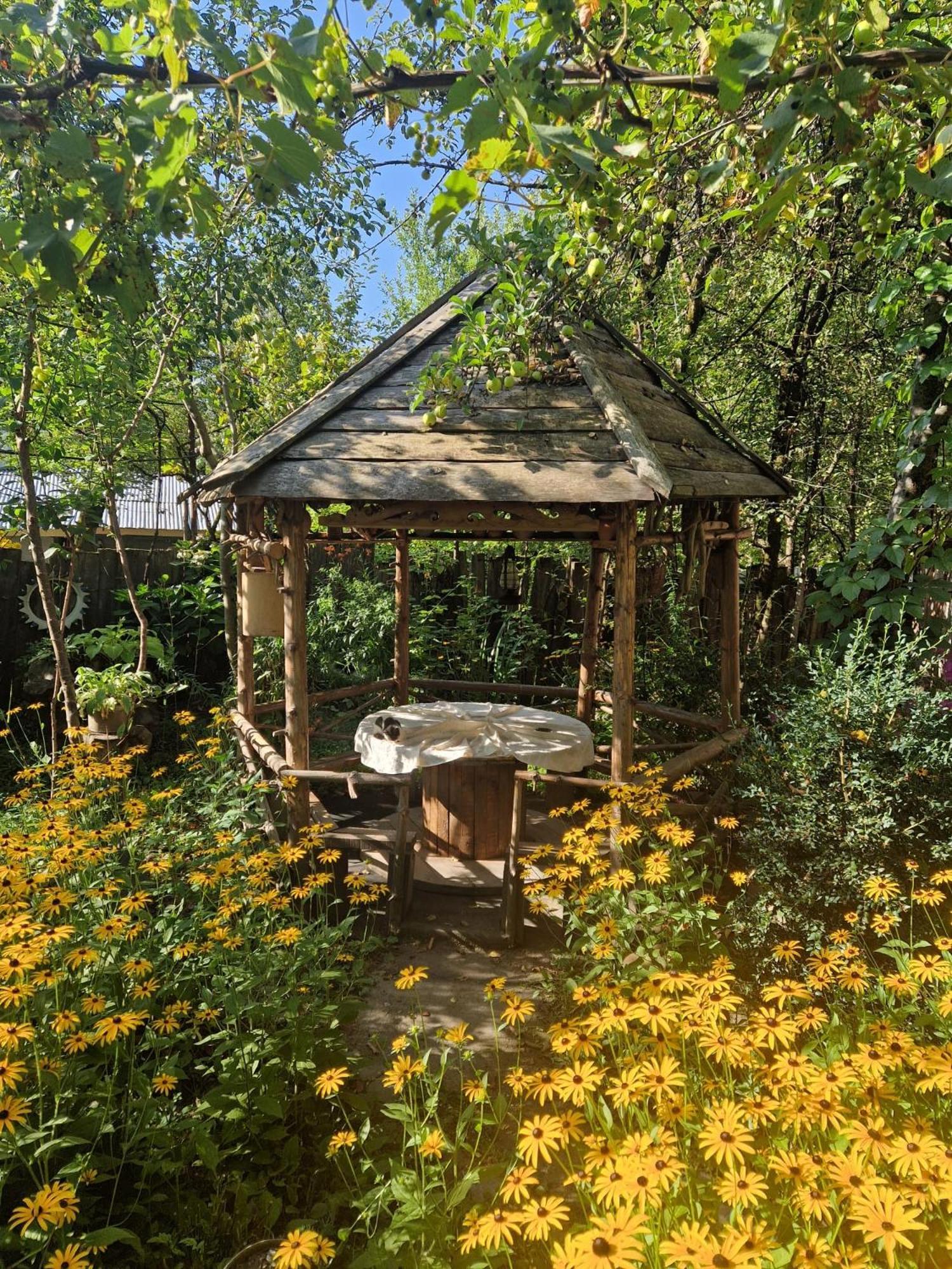 Guest House "Svaneti" Lentekhi Exterior photo