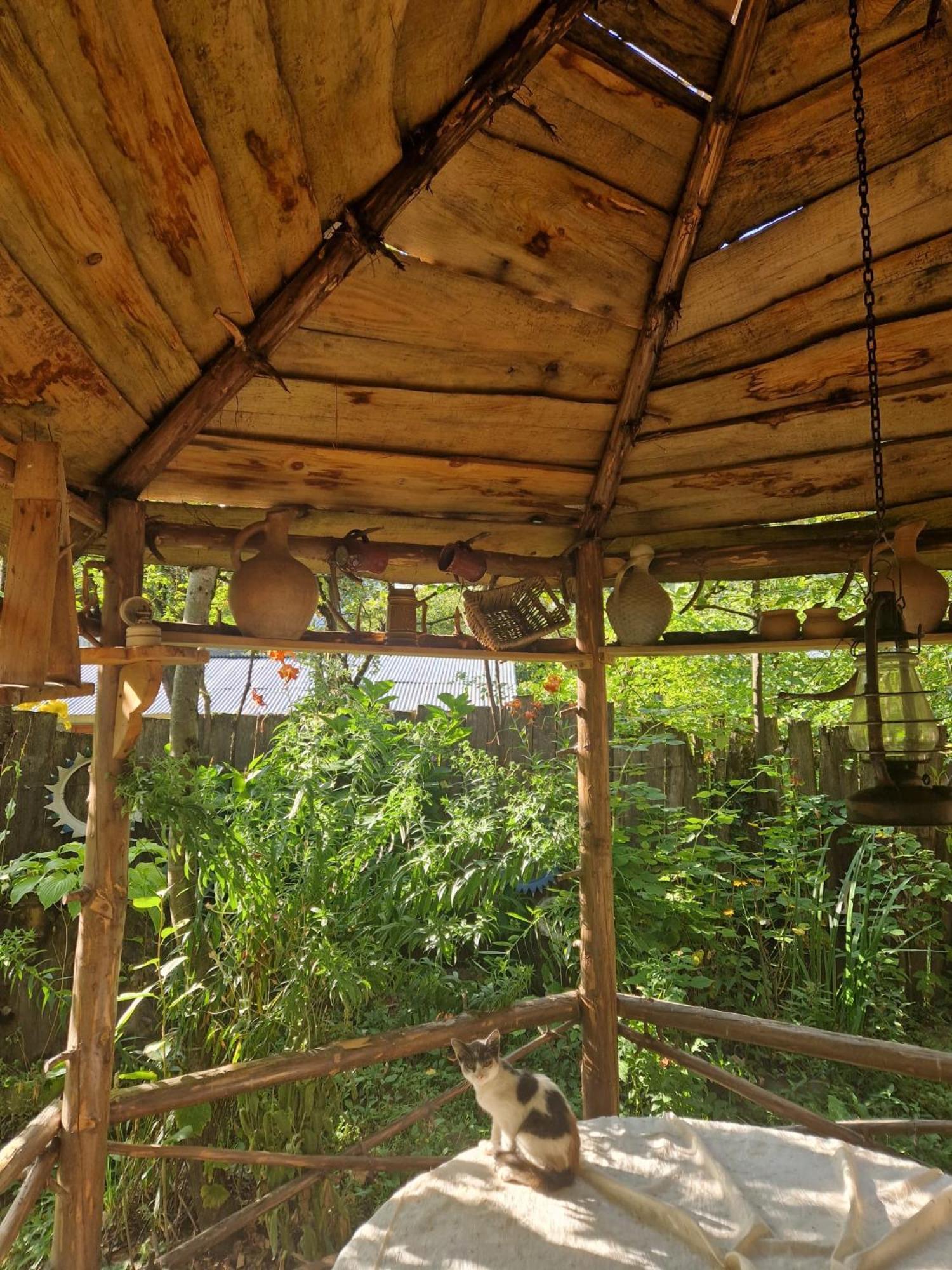 Guest House "Svaneti" Lentekhi Exterior photo