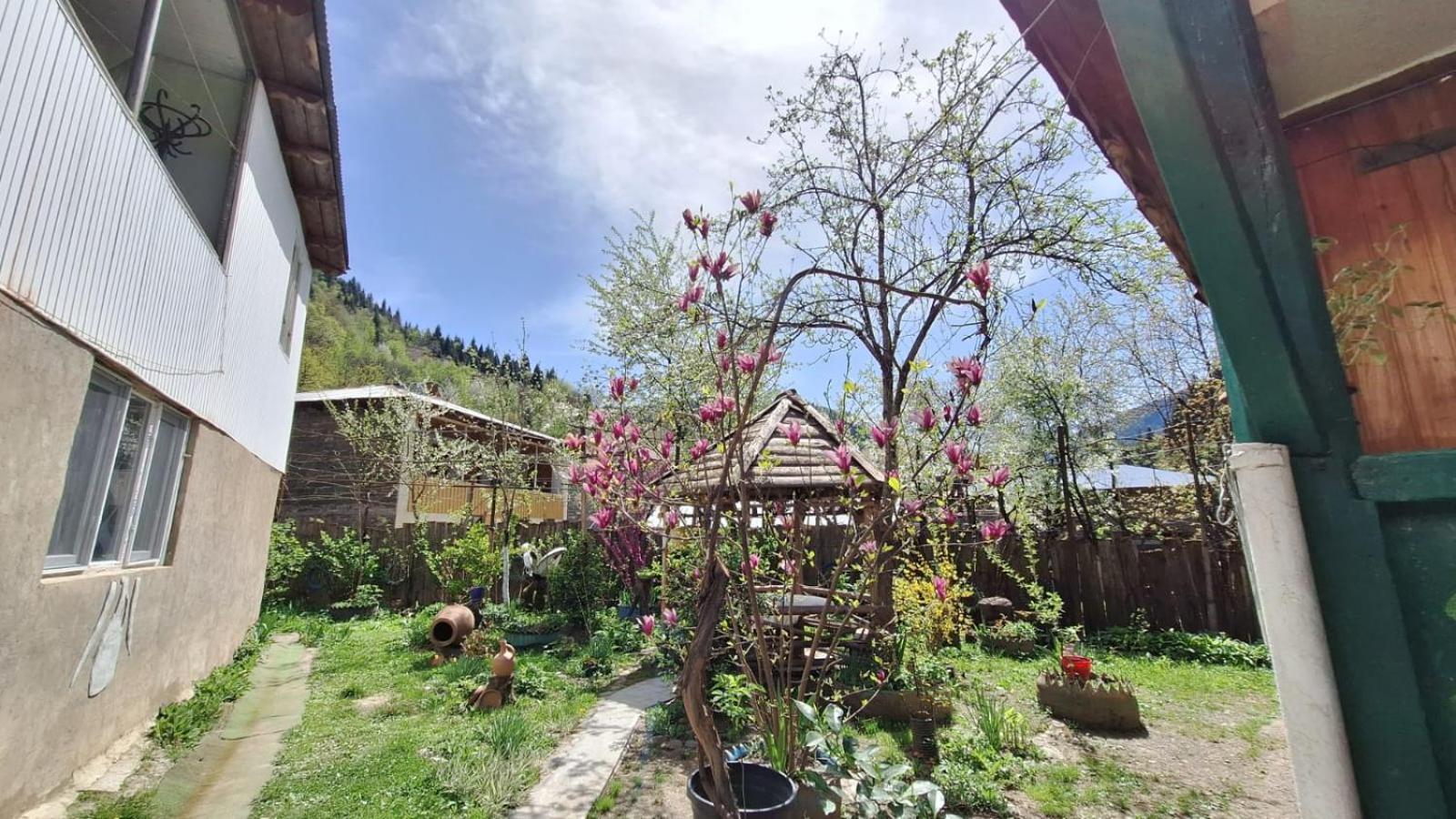 Guest House "Svaneti" Lentekhi Exterior photo