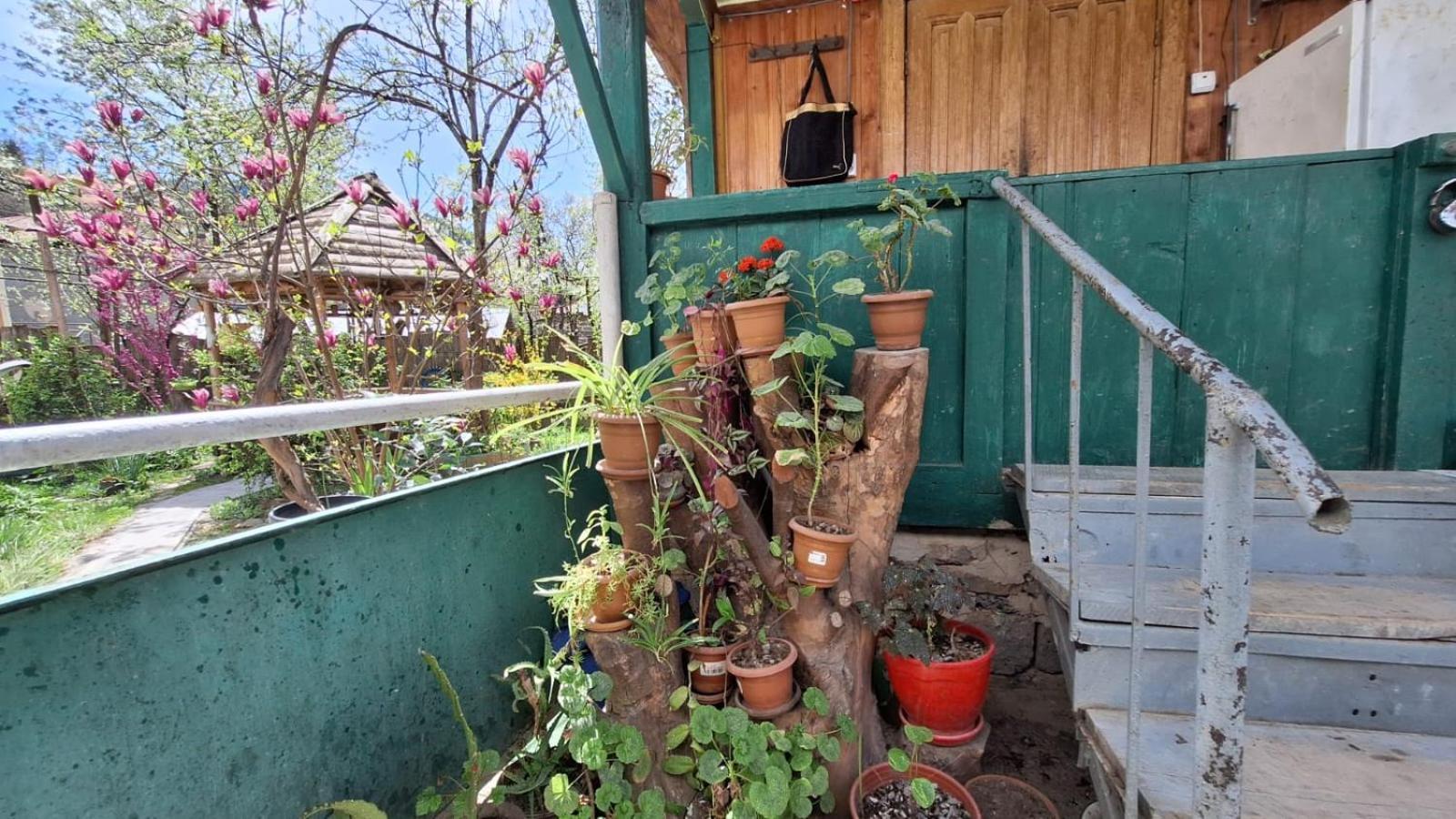 Guest House "Svaneti" Lentekhi Exterior photo