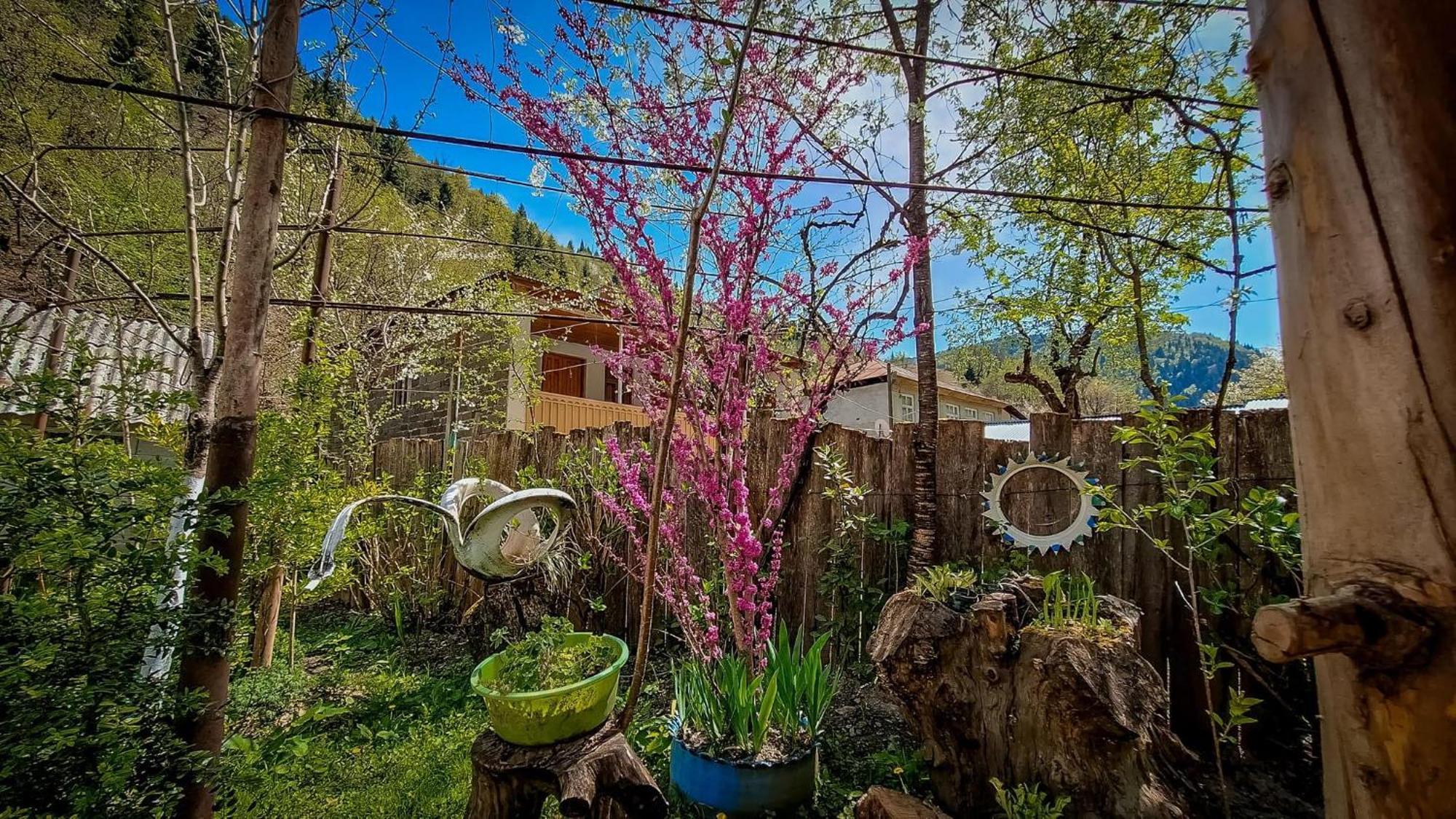 Guest House "Svaneti" Lentekhi Exterior photo